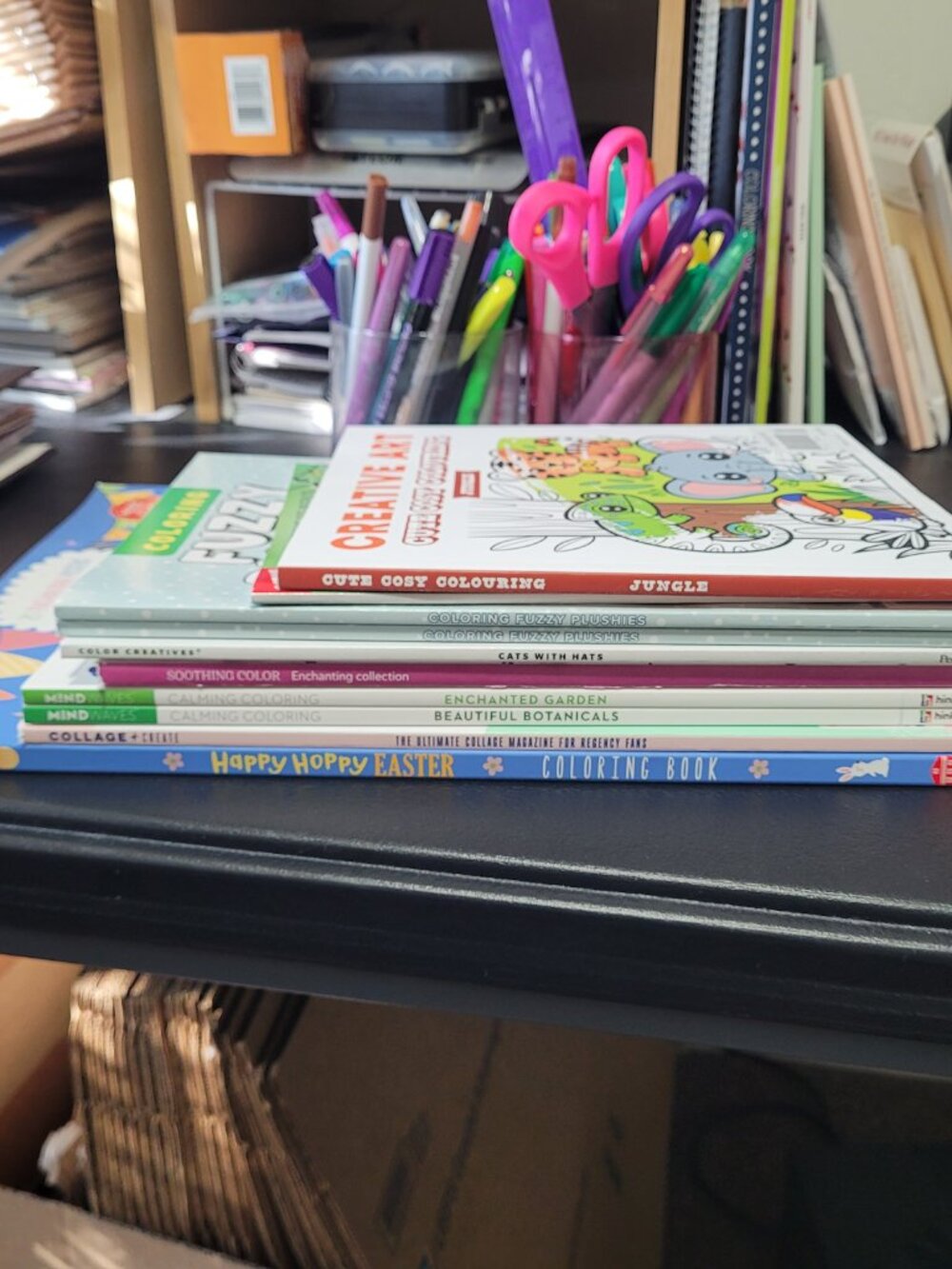 Bundle of 10 Brand New Adult Coloring Books